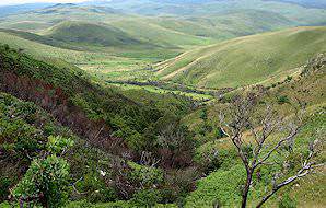 The undulating landscape of Nyanga National Park.