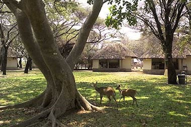 letaba-00.jpg