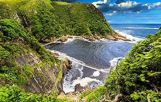 River flowing into the Indian Ocean surrounded by lush garden route hills.