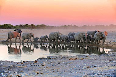 package tours for namibia africa package tours for namibia africa